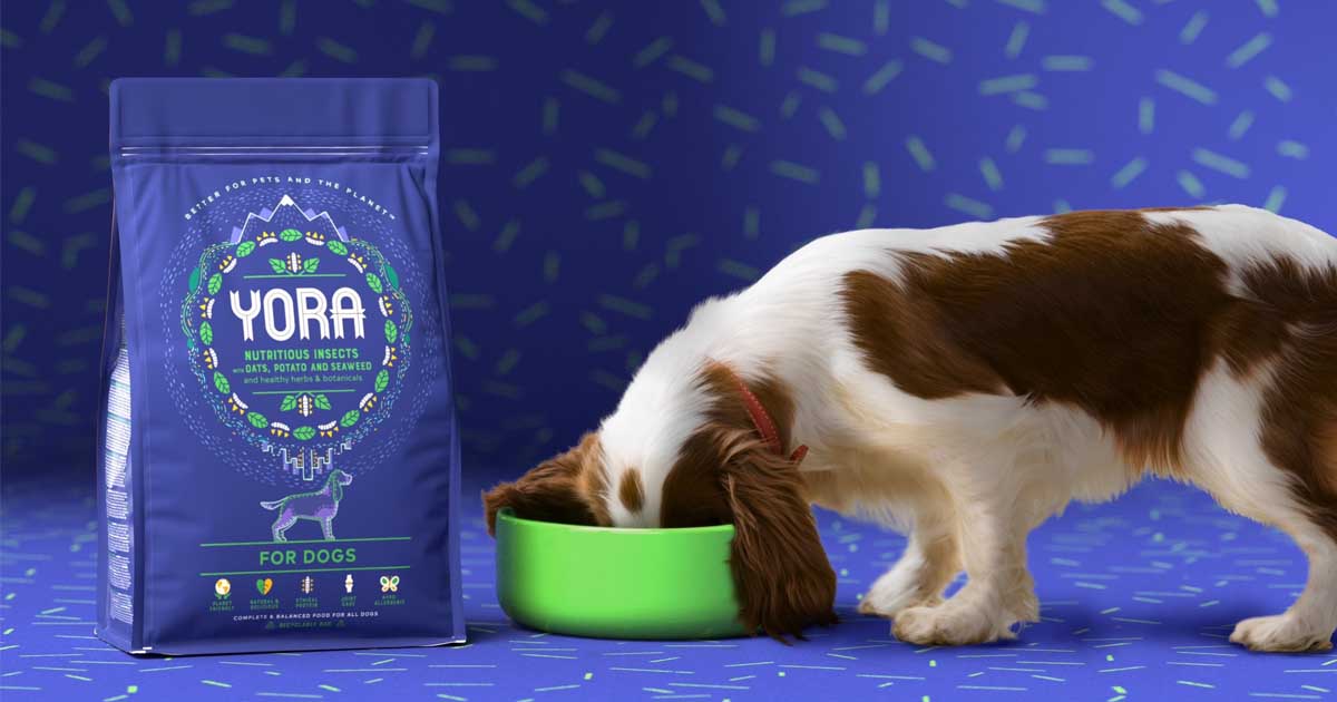 Yora Launches InsectBased Pet Food In The Thai Market